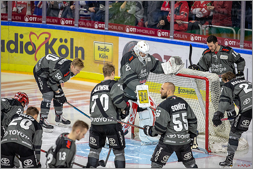 DEL; Koelner Haie - Straubing Tigers, 02.12.2018